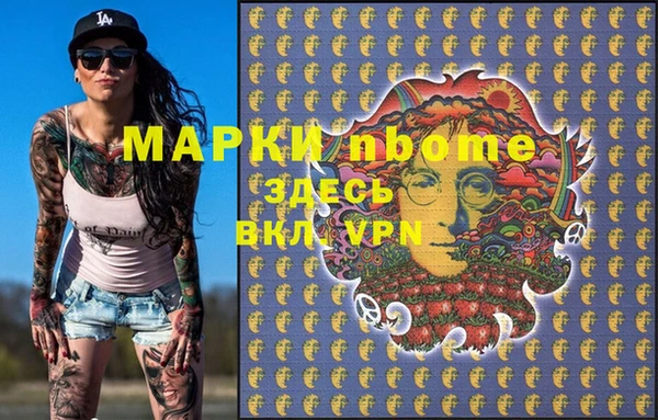 трава Коряжма