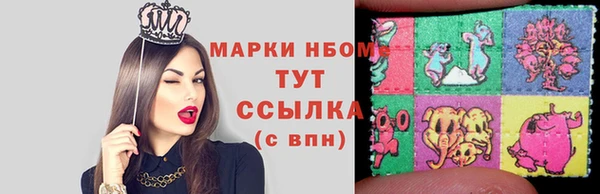 трава Коряжма