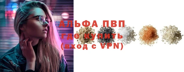 трава Коряжма