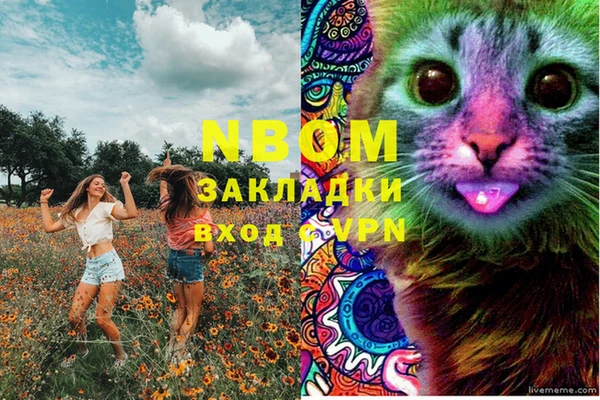трава Костерёво