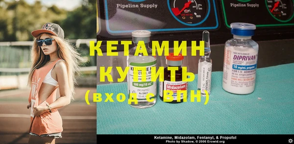 трава Коряжма