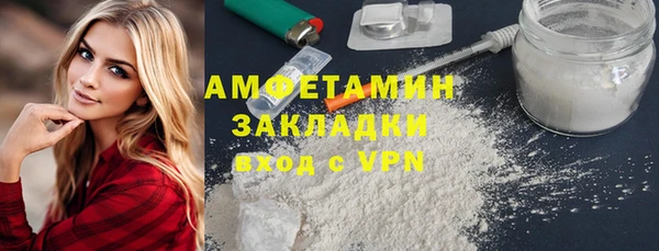 трава Коряжма