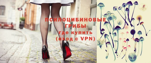 дмт Корсаков