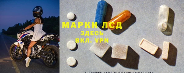 трава Коряжма