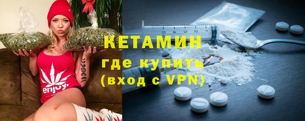 трава Коряжма