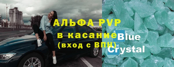 трава Коряжма