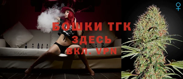 дмт Корсаков